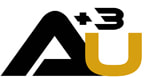 Auric Gold & Minerals, Inc.